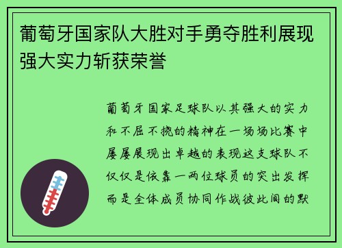 葡萄牙国家队大胜对手勇夺胜利展现强大实力斩获荣誉