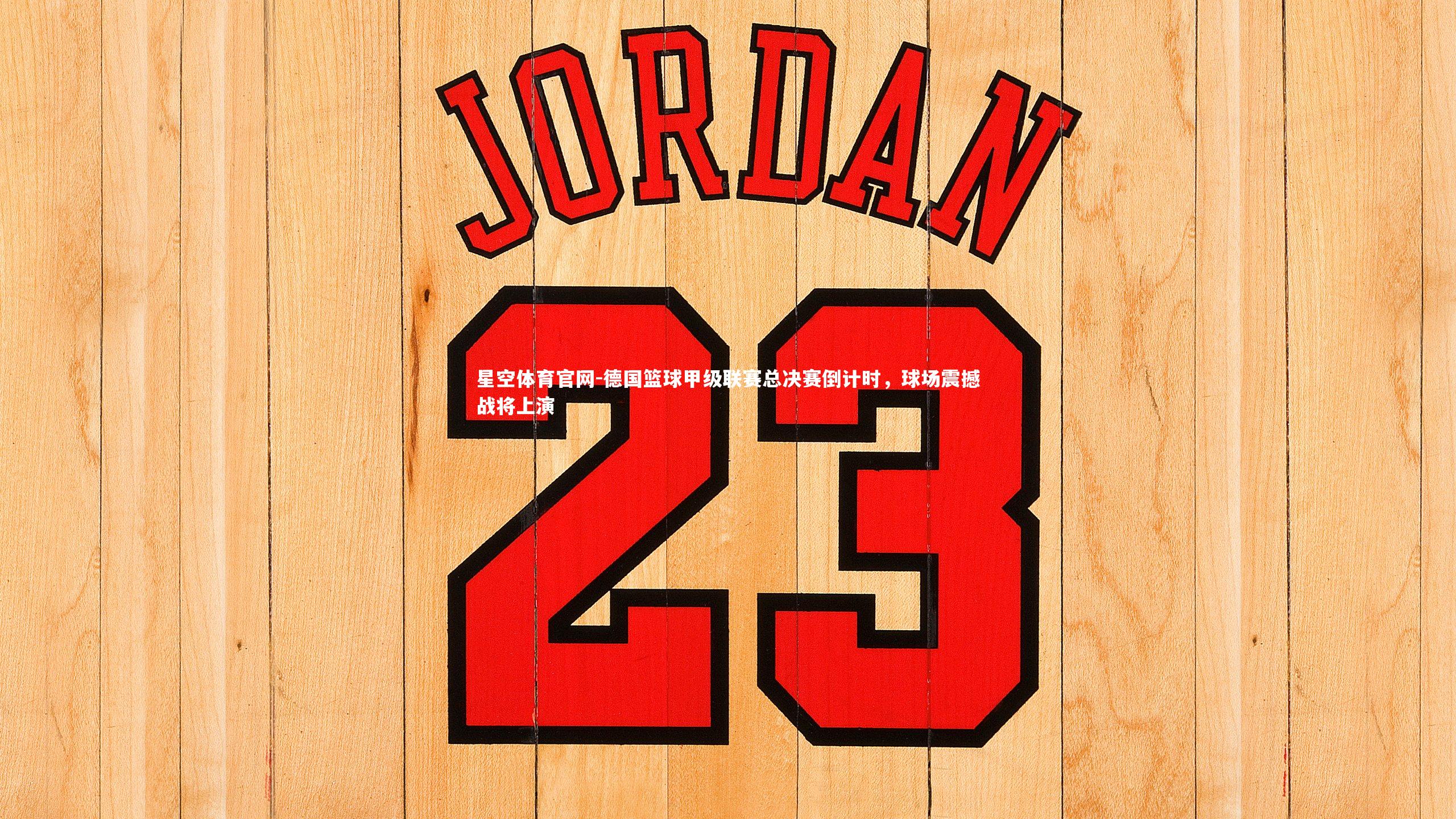 德国篮球甲级联赛总决赛倒计时，球场震撼战将上演