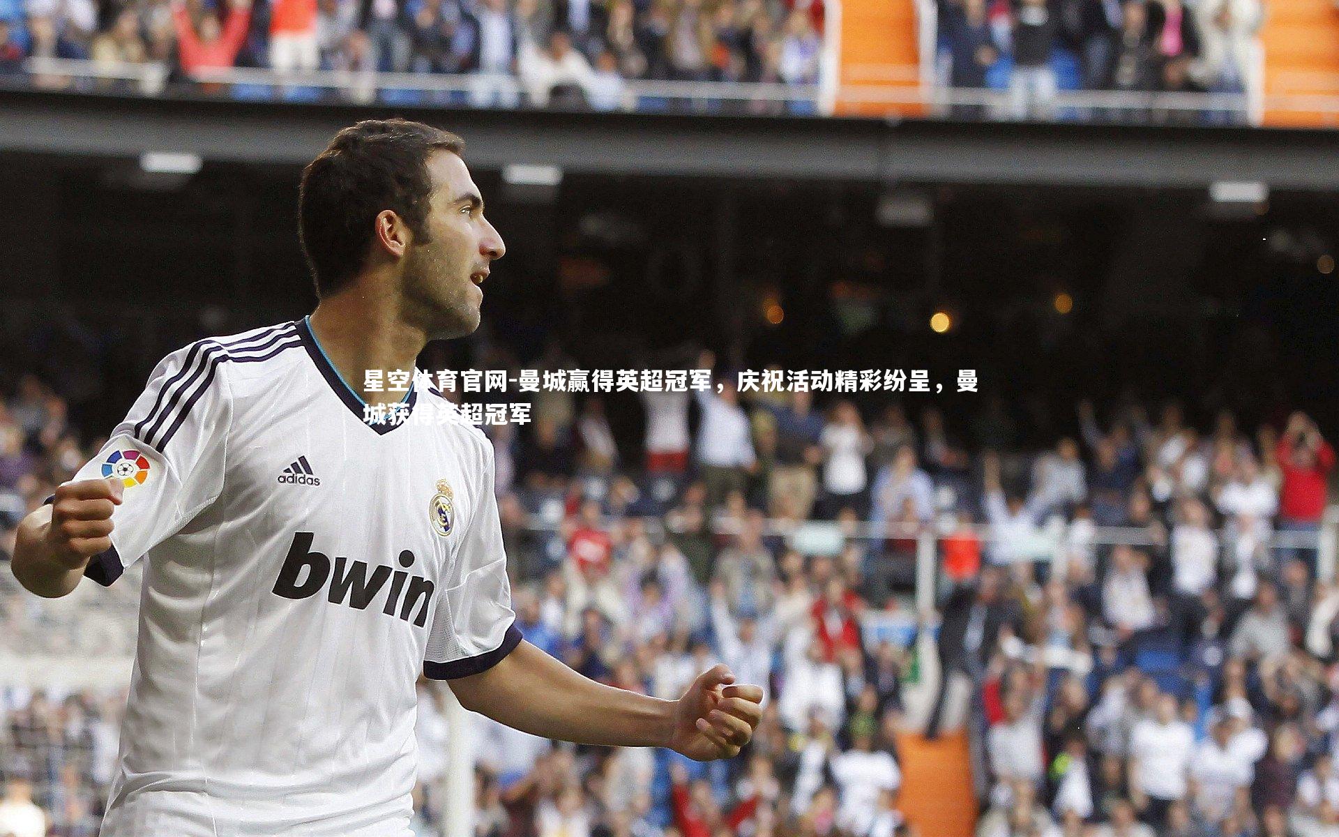 曼城赢得英超冠军,庆祝活动精彩纷呈,曼城获得英超冠军